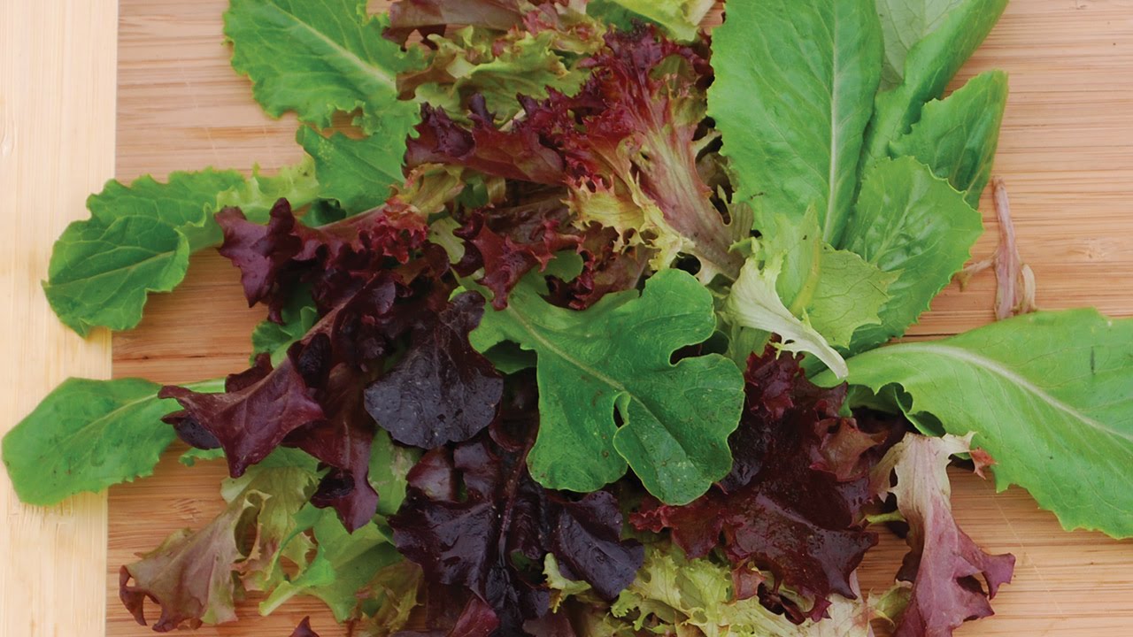 How To Plant & Grow Lettuce