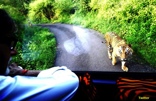 Photos: When Amitabh Bachchan Was Chased By A Tiger For 4 Km