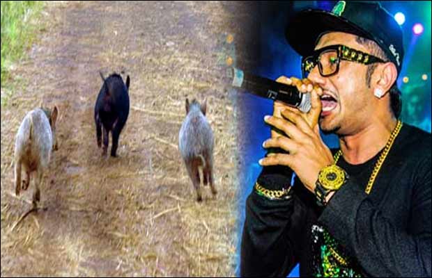 LOL! Here’s Why Yo Yo Honey Singh ’s Tracks Are Popular With The Farmers