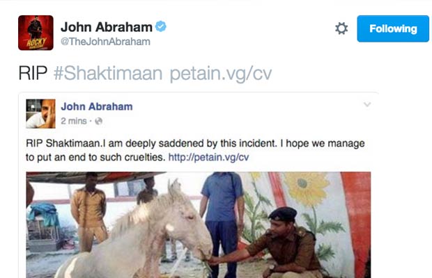 Bollywood Celebs Mourn Over Police Horse Shaktimaan’s Death