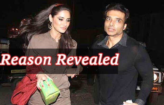 The Real Reason Why Nargis Fakhri Leaves The Country And The Reason Is Not Uday Chopra