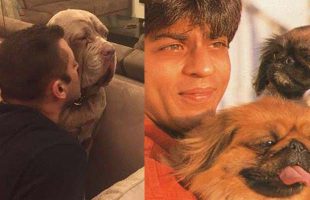 Photos: Bollywood Stars With Their Pets