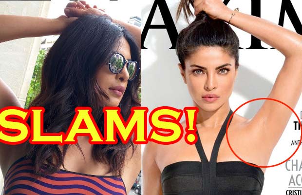 Priyanka Chopra Gets Back At The Haters With Her Instagram Picture!