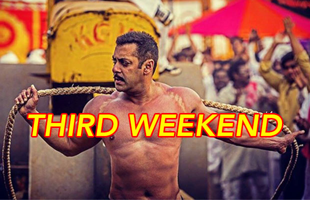Box Office: Salman Khan And Anushka Sharma’s Sultan Third Weekend Collection