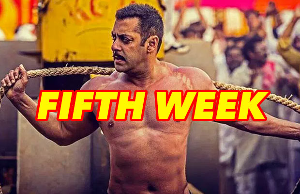 Box Office: Salman Khan’s Sultan Fifth Week Collection