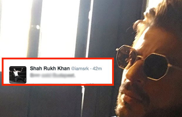 LOL! Shah Rukh Khan Is Really Feeling Cold Due To This Reason