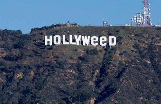 WHAT? HOLLYWOOD Turns HOLLYWEED!
