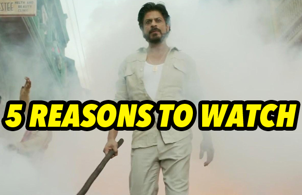 5 Reasons Why Shah Rukh Khan Starrer Raees Is A Must Watch!