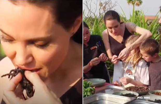 Watch: Angelina Jolie Cooks And Eats Spiders And Scorpions With Her Children
