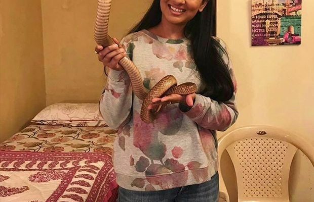 This Popular Television Actress Arrested For Illegally Posing With A Rare Protected Cobra!