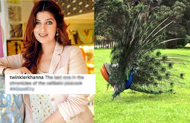 Twinkle Khanna’s Post On Peacock S*x Is The Most Hilarious One You Will Ever Read